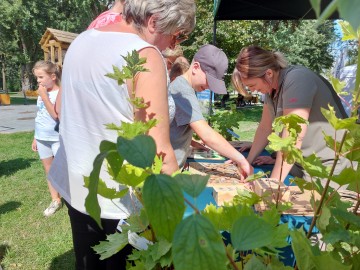 Relacja – Piknik z Województwem Łódzkim w Koluszkach , 